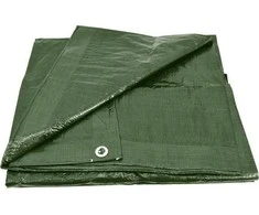 AW-Tools Uždangalas AWTools AW68050; 10x20 m; žalias