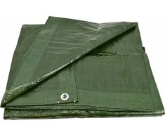 AW-Tools Uždangalas AWTools AW68043; 6x10 m; žalias