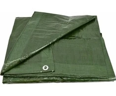 AW-Tools Uždangalas AWTools AW68046; 8x12 m; žalias