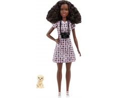 Barbie lėlė Mattel KarjerA - Naminių gyvūnėlių fotografas (HCN10)