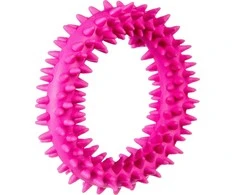 Pw Hobby Barry King Barry King mały ring XS šuniukams rožinė, 9.5 cm