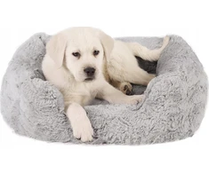 Barry King BEST FRIENDS LOUNGE LUX LEGEND 50x38cm ŠVIESI PILKA