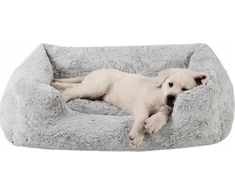 Barry King BEST FRIENDS LOUNGE LUX LEGEND 50x38cm ŠVIESI PILKA
