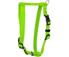 Barry King Classic szelki šuniui, šviesiai žalia, L-XL, 25mm/75-100cm