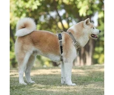 Barry King Petnešos šunims, žalios, kamufliažinės, Oksfordo audinio, M, kaklo apimtis 39-55 cm / krūtinės apimtis 40-72 cm