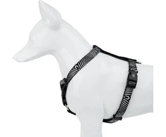 Barry King Šuns petnešos, juodos ir baltos zebro rašto, polipropileno austinės medžiagos, 16 mm/30–60 cm