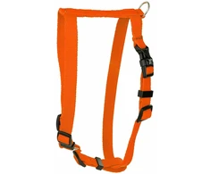 Barry King Šunų pakinktai oranžiniai, L-XL, 25mm/75-100cm