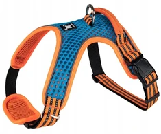 Barry King šuns petnešos, mėlynos ir oranžinės spalvos, su šviesą atspindinčiomis detalėmis, S dydis, kaklo apimtis 38–49 cm / krūtinės apimtis 41–63 cm