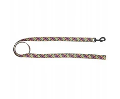 BarryKing Havajų juostinis šunų pavadėlis 16 mm / 120 cm