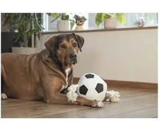 Beeztees DOG TOY FOOTBALL WITH ROPE BLCK Baltas 36