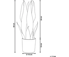 Beliani 40 cm SNAKE PLANT