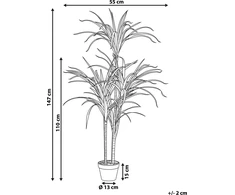 Beliani Dirbtinis motiejukas 147 cm DRACAENA ANITA