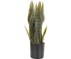 Beliani 40 cm SNAKE PLANT