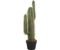 Beliani Dirbtinis motiejukas 78 cm CACTUS