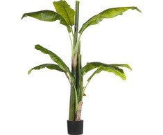 Beliani Dirbtinis augalas MUSA TREE 154 cm žalias