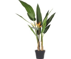 Beliani Dirbtinis motiejukas 115 cm STRELITZIA TREE