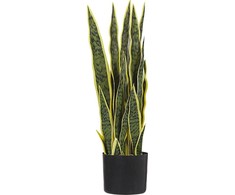 Beliani Dirbtinis vazoninis augalas 63 cm SNAKE PLANT