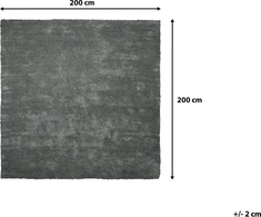 Beliani Karpetas 200 x 200 cm tamsiai pilkas DEMRE