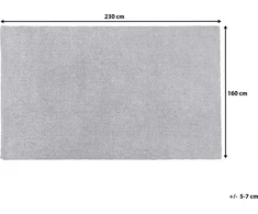 Beliani Kilimas 160 x 230 cm šviesiai pilka DEMRE