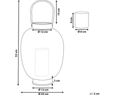 Beliani Lampion 40 cm metalo aukso LANTAU