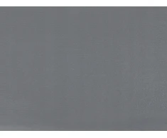 Beliani Išskleidžiama lova iš pušies medienos EDERN 90 x 200 cm pilka