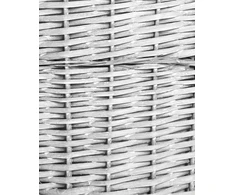 Beliani VAKARI 5 krepšių rinkinys, gluosnis, baltas, 55/89 l