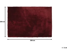 Beliani Šaggy kilimas 200 x 300 cm tamsiai raudonas EVREN