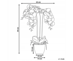 Beliani Dirbtinis augalas ORCHID 59 cm baltas