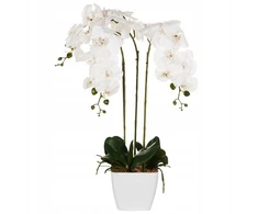 Beliani dirbtinis vazoninis augalas, 59 cm, orchidėja