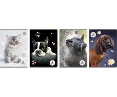 Beniamin Notebook A5/80K tinklelis The Sweet Pets (5 vnt.)
