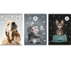 Beniamin Notebook A4/60K tinklelis The sweet pets (5 vnt.)