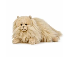 Beppe *****Kot perski karmelowy 35cm 14290 25081
