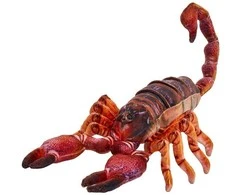 Beppe Pliušinis žaislas - skorpionas, 38 cm
