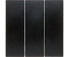 Hager Polo Berker Trigubas adapterio B.1 / B.3 / B7 raktas Glas antracitas (16651606)