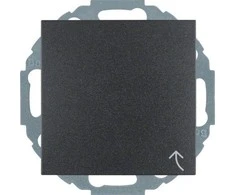 Hager Polo Berker SCHUKO lizdas su antracito danga (47441606)