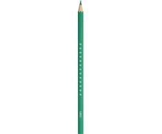 BIC Spalvoti pieštukai Kids Smooth 12 spalvų rinkinys