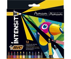 FLOMASTERIAI BIC INTENSITY FINE 12SPALVŲ