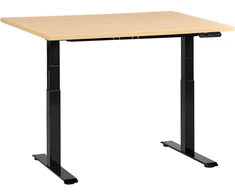 Beliani Elektriškai reguliuojamas stalas DESTINES juodas/šviesiai rudas 120 cm 72 cm