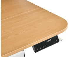 Beliani Elektriškai reguliuojamas stalas WILBANKS šviesiai rudas / baltas 120 cm 60 cm su USB jungtimi