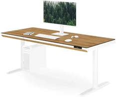 Stalius Jan Nowak Elektrinis sit-stand su stalčiumi ir belaidžiu Qi įkrovikliu, baltas/auksinis ąžuolas, 1600 mm: ELLIS (5907367514834)