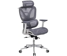 Biuro kėdė Domoletti Office chair pilka AM-350 51X50X120