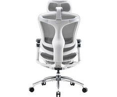 Biuro kėdė Sihoo DORO C300 Pro Mesh, Balta