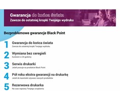 Black Point Toneris Juodas Point [LCBPBTN249M] Toneris BP (Brother TN-249M)