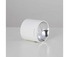 Blaupunkt lubinis šviestuvas Blaupunkt LED paviršinis šviestuvas Spot Roller 10W šiltai baltas