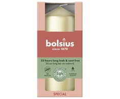 Bolsius Candle cylinder Ø120x58mm sidabrinis