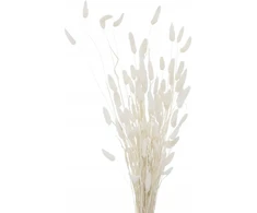 Boltze Dekoratyvinės šakos 70 cm vazai