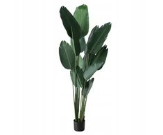 Boltze Dirbtinis augalas bananų medis, aukštis 185 cm