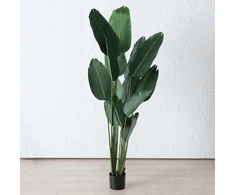 Boltze Dirbtinis augalas bananų medis, aukštis 185 cm