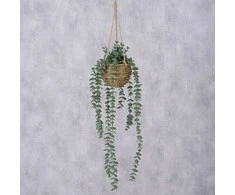 Boltze Dirbtinis kabantis augalas EUKALIPTAS, 78 cm