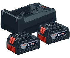 Bosch Starter Set 2x5.0Ah, GAL 12V/18V-80, CT